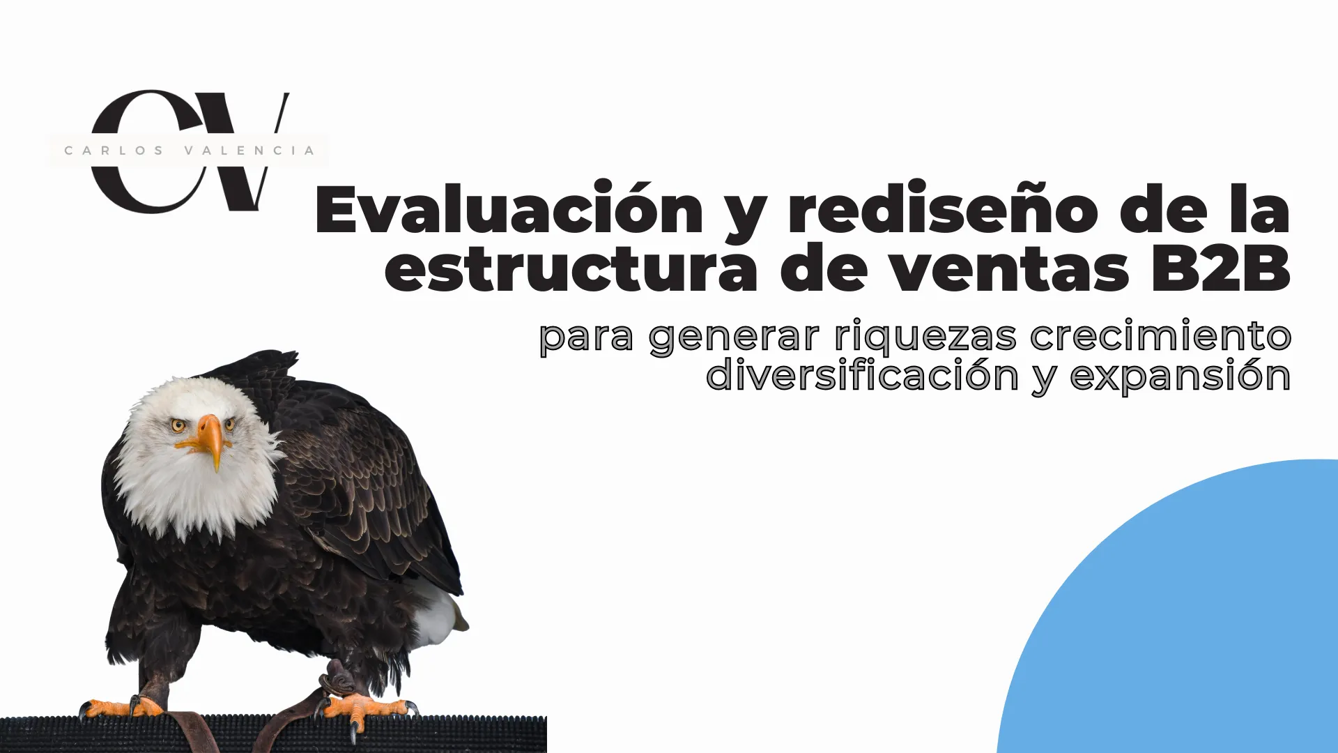 Estructura de Ventas B2B
